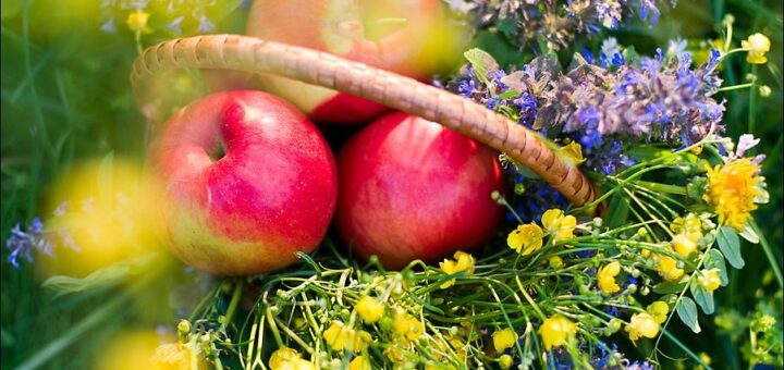 Гороскоп на август 2023 года для всех знаков зодиака