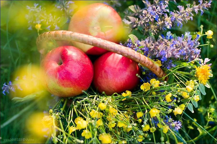 Гороскоп на август 2023 года для всех знаков зодиака