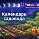 Календарь садовода на март 2026 года